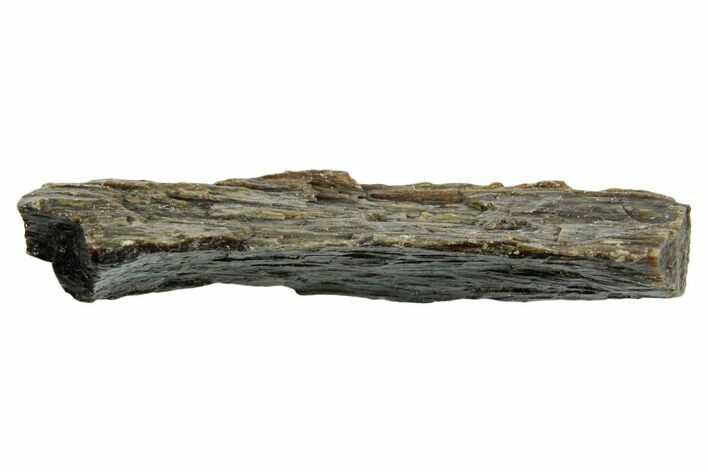 Fossil Tyrannosaur (T rex) Bone Section - Wyoming #352899